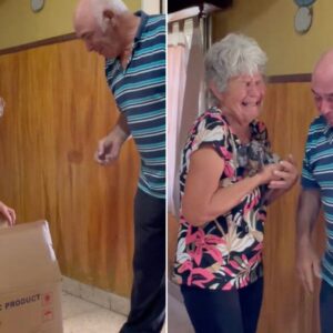 Woman Surprises Her Grandparents With The Sweetest Gift After They Lose Their Dog