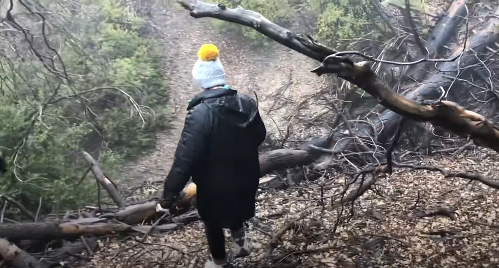 guy in a forest