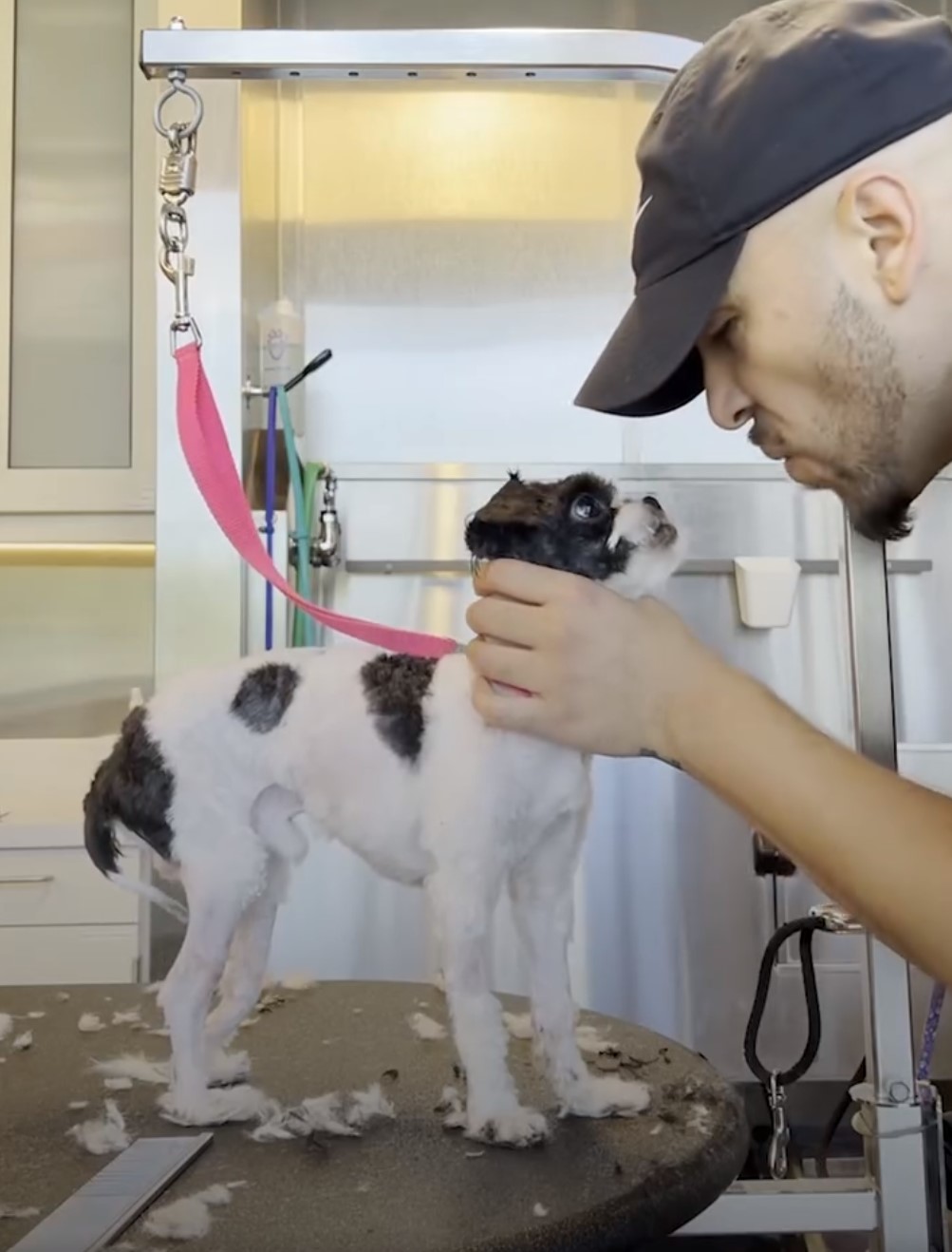 man and a puppy named panda